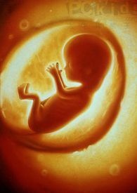 胎动频繁是什么原因